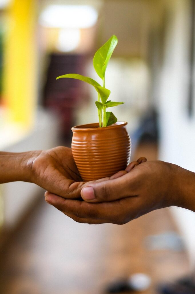 plant, hands, conservation, planting, replanting, nature, save earth, go green